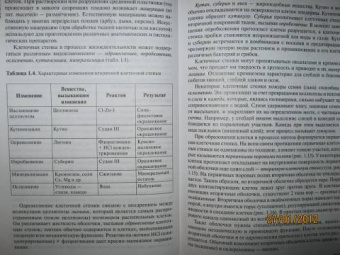 Зайчикова, Барабанов: Ботаника. Учебник