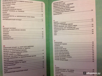 Эва-Мария Кремер: Самые популярные породы собак