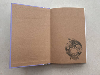 Луиза Олкотт: Хорошие жены