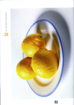 Давид Санмигель: Рисуем маслом. Экспресс-курс