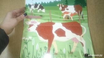 Боманн, Дюпон: Животные снаружи и внутри