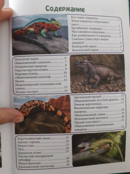 Людмила Соколова: Энциклопедия. Ящерицы большие и маленькие