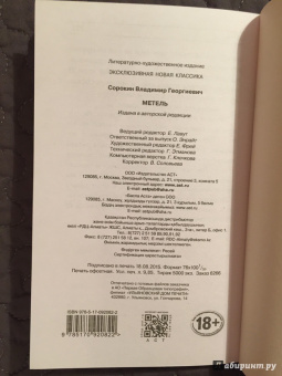 Владимир Сорокин: Метель