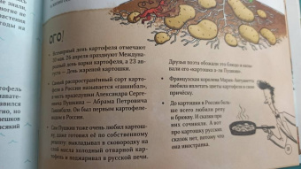 Михаил Пегов: Истории вещей. От самовара до Интернета