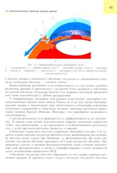 Бирич, Марченко, Чекина: Офтальмология. Учебник