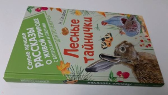Николай Сладков: Лесные тайнички