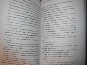 Фалеев, Варенкова: Формула всего