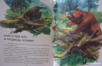 Валерий Кастрючин: Сказки Чудо-дерева
