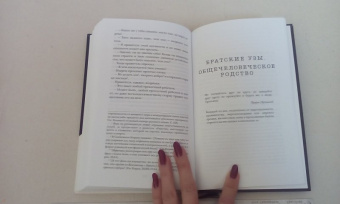 Шамиль Аляутдинов: Мир души