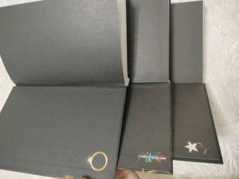 Линетт Нони: Предатели крови