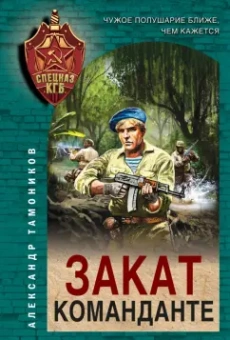 Александр Тамоников: Закат команданте