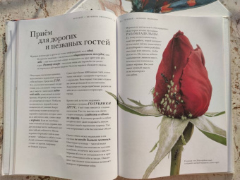 Барт Россел: Поразительные насекомые. Книга про подземных математиков, мастеров блефа, дружных кочевников, зомби