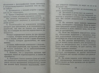 Мария Солодова: Чего хочет ваша кошка