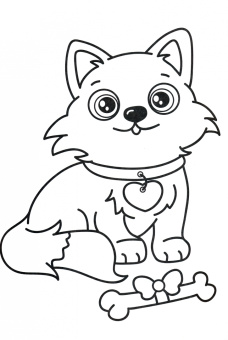 Суперраскраска. Милые пушистики