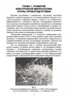 Сахно, Ватников, Ленченко: Практическая электронная микроскопия. Учебное пособие для СПО