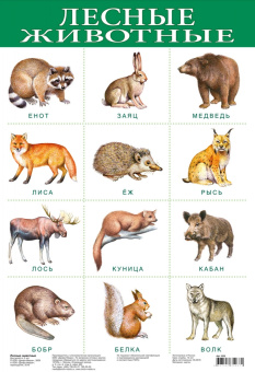 Комплект из 10 обучающих плакатов для детей 3-4 лет