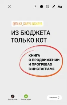 Оля Сабылинская: Из бюджета только кот. Книга о продвижении и прогревах в инстаграме