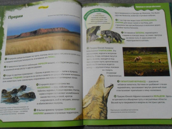 Вероника Пеллегрини: Вопросы и ответы обо всем на свете