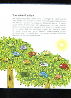 Мак Гагельдонк: Посмотри, как я могу! Чудеса животного мира