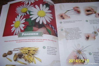 Алена Верхола: Чудеса из природных материалов. Делаем вместе с мамой