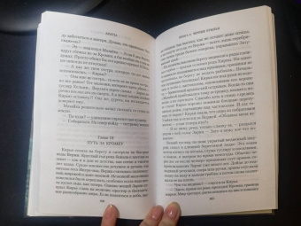 Семенова, Гурова: Аратта. Книга 6. Черные крылья
