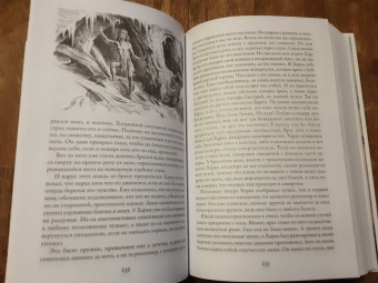 Лизелотта Вельскопф-Генрих: Изгнанники, или Топ и Харри