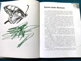 Джанумберто Аччинелли: Эффект домино. Невидимые нити природы