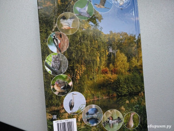 Василий Вишневский: Наши птицы. Определитель для детей