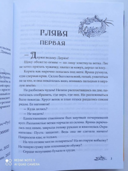 Ольга Ромадина: Янтарный меч
