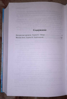 Терри Пратчетт: Интересные времена. Мелкие боги