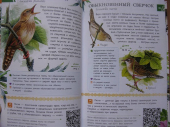 Коблик, Архипов: Певчие птицы. Средняя полоса европейской части России. Определитель с голосами птиц