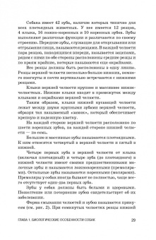 Хохрин, Рожков, Лунегова: Кормление собак. Учебное пособие