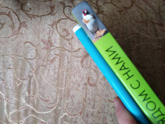 Владимир Бабенко: Животные рядом с нами