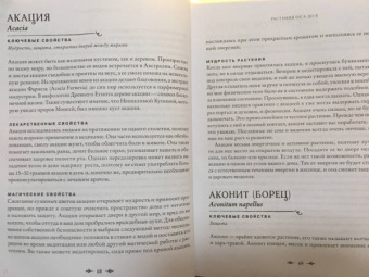 Джульетта Диас: Магия растений:  откройте для себя магию, священный язык 200 растений