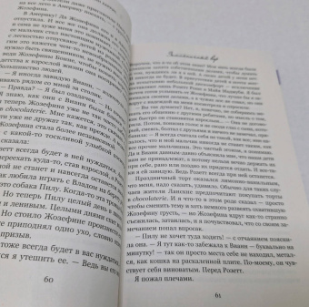 Джоанн Харрис: Земляничный вор