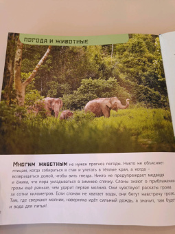 Мак Гагельдонк: От града до торнадо. Прекрасные и опасные явления природы