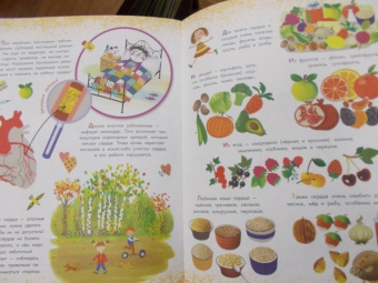 Вера Иванова: Как устроен человек?