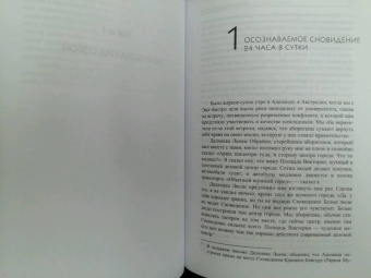 Арнольд Минделл: Сновидение в бодрствовании. Методы 24-часового осознаваемого сновидения в психотерапии