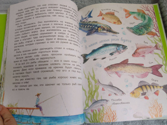 Николай Сладков: Лесные сказки