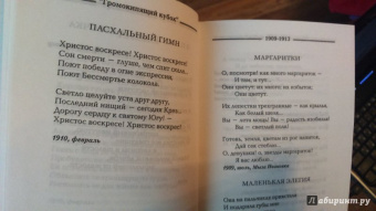 Игорь Северянин: Избранное. 1903-1915 гг