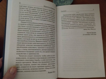 Шарлотта Бронте: Учитель