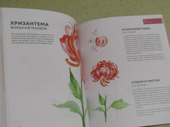 Дженна Рейни: Ни дня без акварели. Цветы. Пошаговое руководство по рисованию соцветий, листьев и стеблей