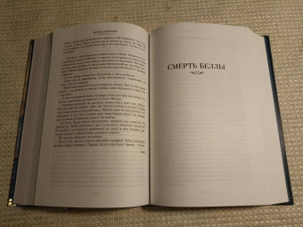 Жорж Сименон: Пассажир "Полярной лилии". Лучшие романы