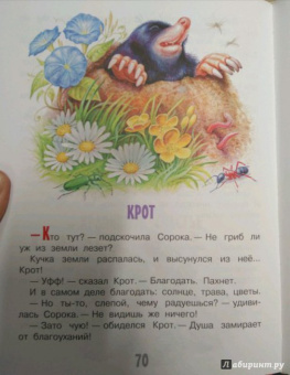 Николай Сладков: Сказки лесной опушки