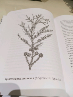 Катя Астафьефф: Дурное семя. Удивительная история жалящих, обжигающих и убивающих растений