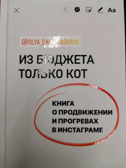 Оля Сабылинская: Из бюджета только кот. Книга о продвижении и прогревах в инстаграме
