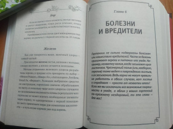 Лариса Кочелаева: Энциклопедия цветовода