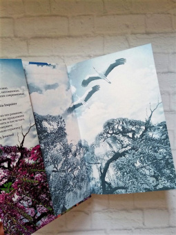 Тван Тан: Сад вечерних туманов