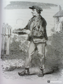 Александр Дюма: Граф Монте-Кристо. Том 2