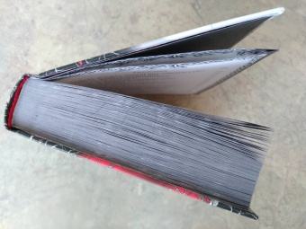 Дана Арнаутова: Год некроманта. Ворон и ветвь